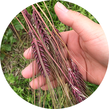 コンセプトイメージ