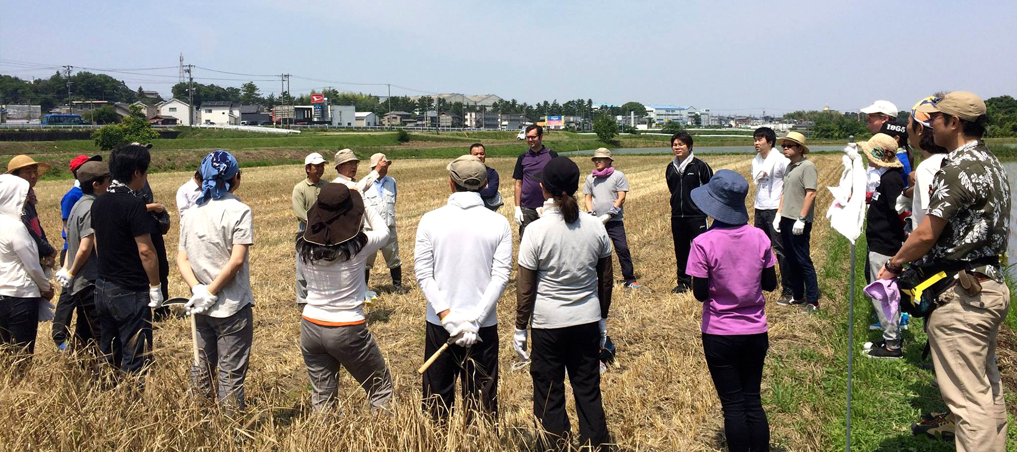 藤川宿 むらさき麦プロジェクトイメージ03