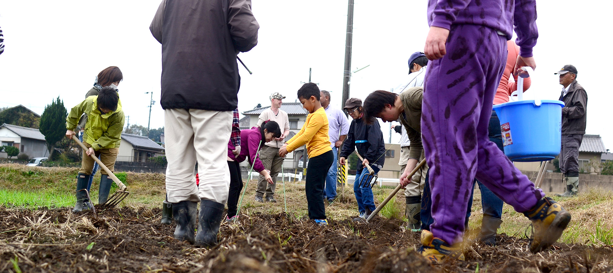 藤川宿 むらさき麦プロジェクトイメージ04